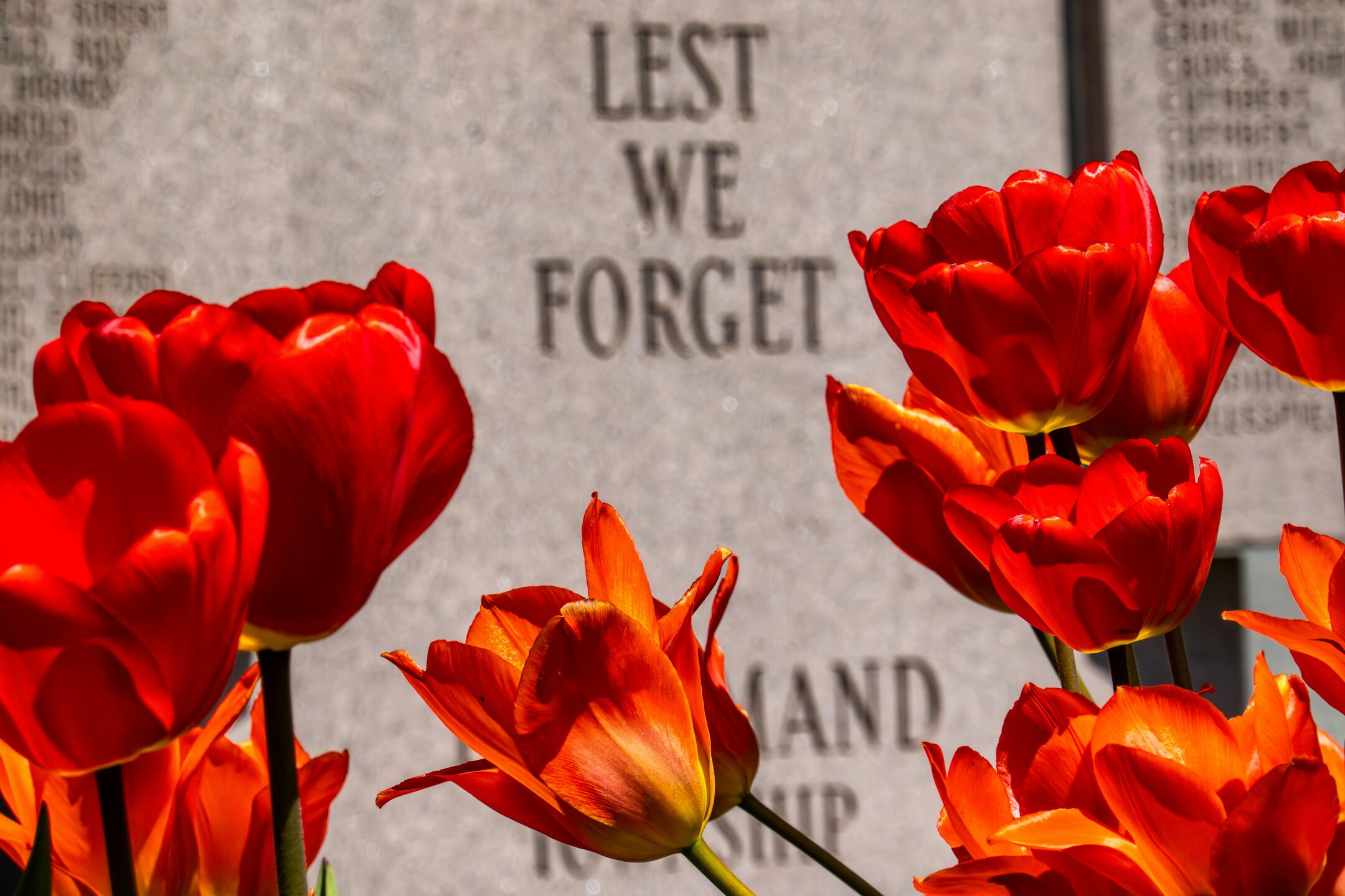 Remembrance Day – More than Just a Day Off